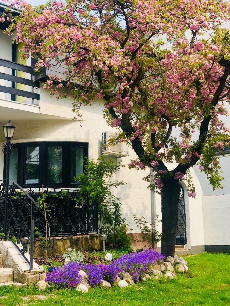 Pilot'S Manor - Airport Villa Velika Gorica Exterior foto